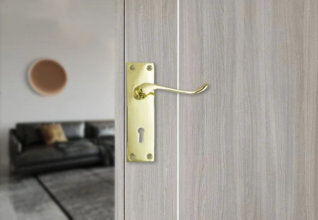 JW-LOCK Lever Handle With Plate Usage Scenario 3