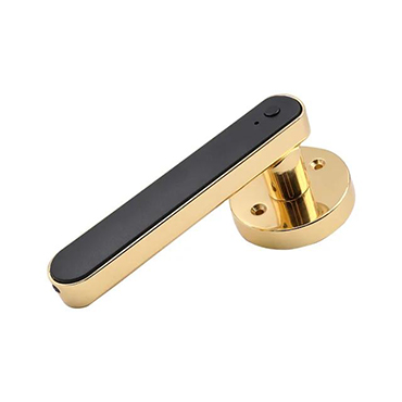 JW-LOCK Smart Door Handle 102G