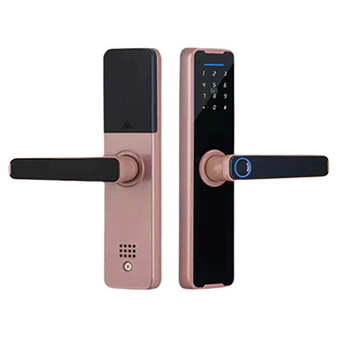 Hotel Smart Door Handle Lock
