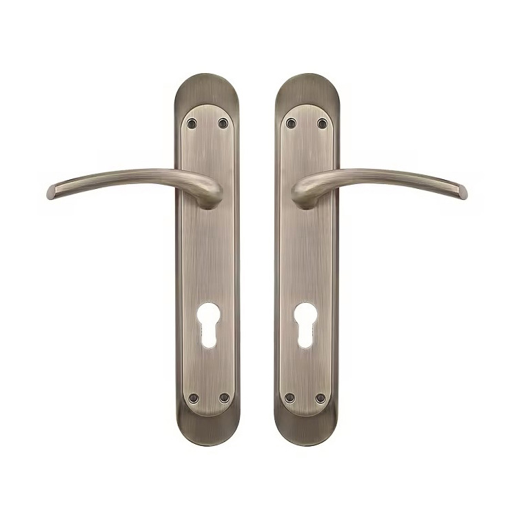 Zinc Alloy Mortise Door Lock Handle on Backplate
