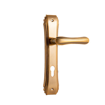 Big Backplate Door Handle