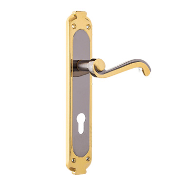 Exterior Door Handles