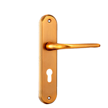 Gold Panel Door Handle