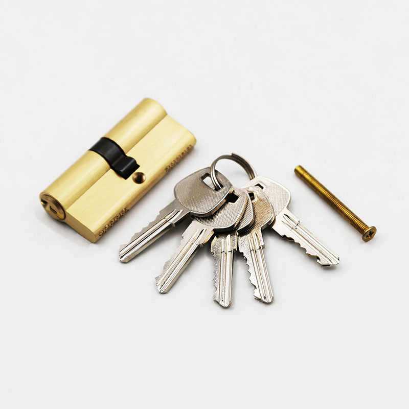 Mortise Lock Cylinder -1