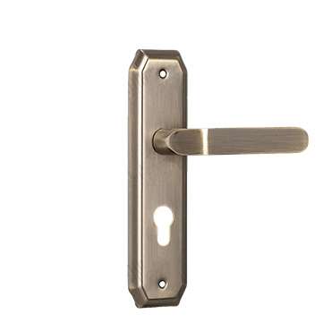 Popular Door Handle With Panel