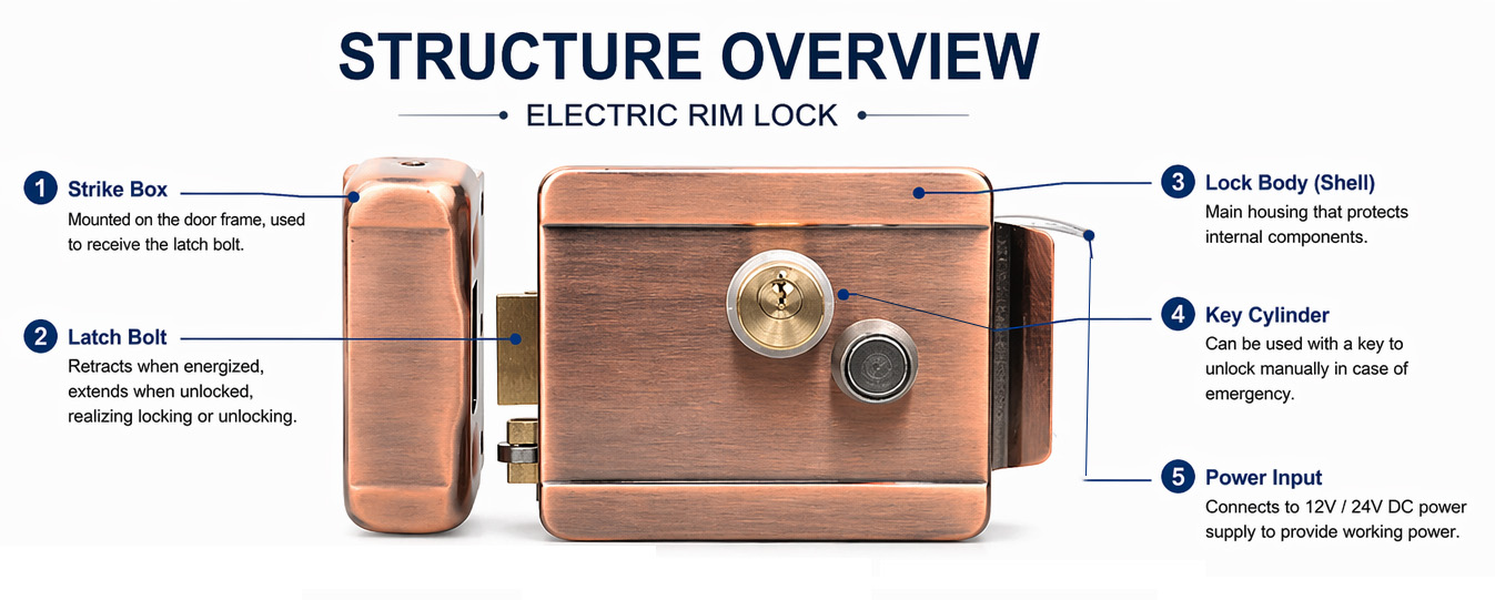 JW-LOCK Electric Rim Lock for Structure