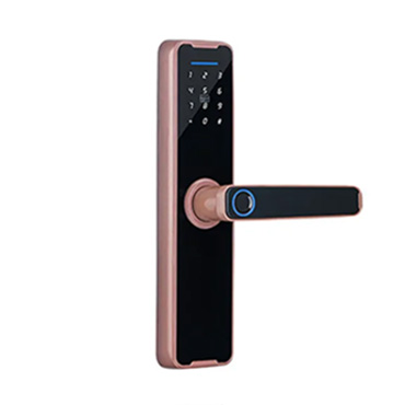 JW-LOCK Hotel Smart Locks S204G