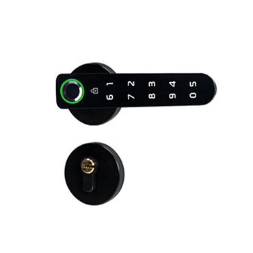 JW-LOCK Residential Smart Lock S103