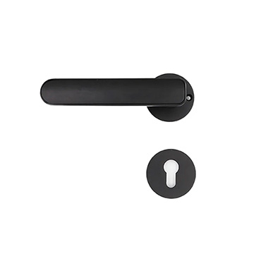 JW-LOCK Room Smart Locks S101